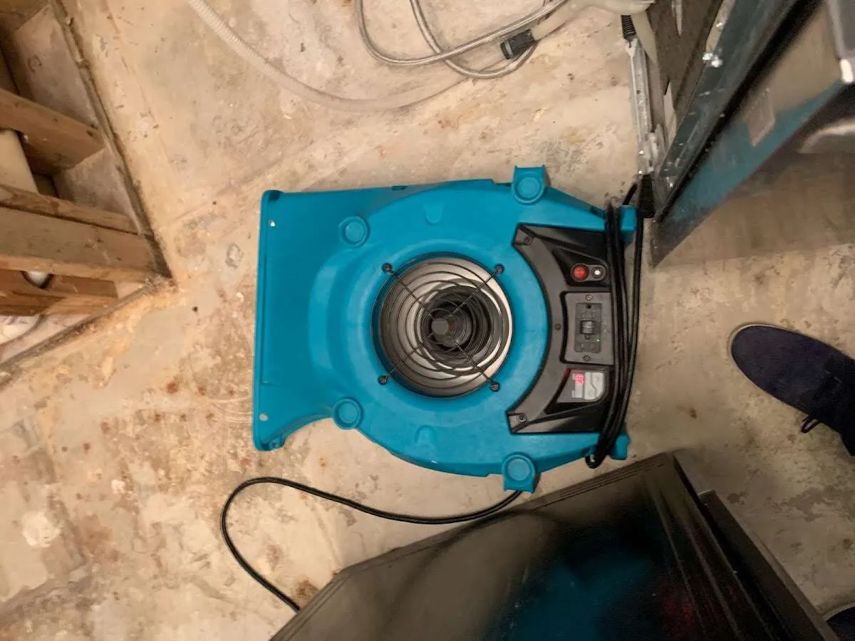 Air mover drying equipment for Mold Remediation & Removal in Midlothian
